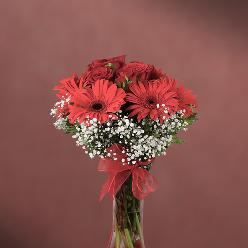 Vazoda Kırmızı Gerberalar