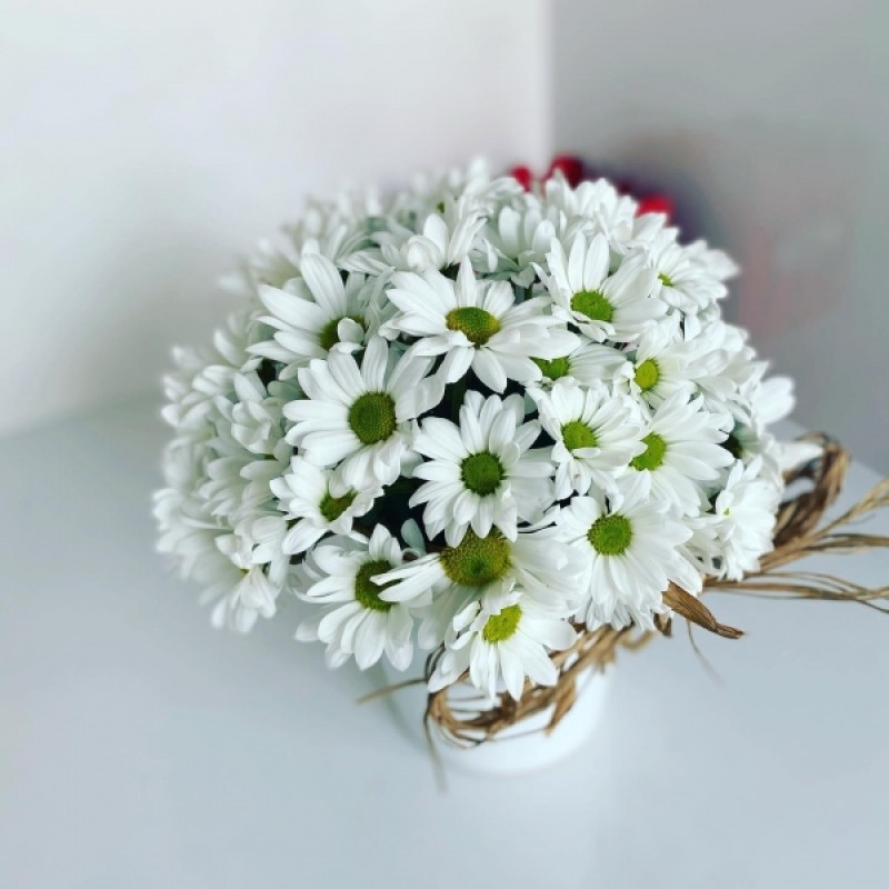 SERAMİK VAZODA PAPATYALAR