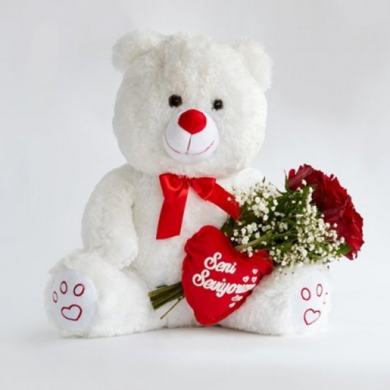 Beyaz Ayıcık Güller